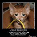 ���� �����k� ������, ����������, 49 ��� - ��������� 14 ������� 2010 � ������ �Demativators�