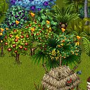 ���� Ksenia, ��� - ��������� 31 ������� 2012 � ������ �Tropikania�