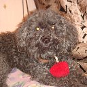 ���� �����, ����, 50 ��� - ��������� 19 ������ 2012 � ������ ���� �������