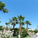 ���� ����, ���, 69 ��� - ��������� 20 ��� 2013 � ������ ���� ����������