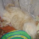 ���� ������, ��������� - ��������� 25 �������� 2010 � ������ ���� ��������