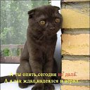 ���� ����, ����������� - ��������� 1 ���� 2013 � ������ �3�