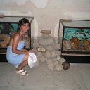 ���� ������, ������, 49 ��� - ��������� 9 ������ 2011 � ������ �� �������