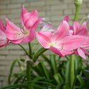 ���� ����, ������, 38 ��� - ��������� 28 ���� 2010 � ������ �������