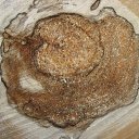 ���� ���������, ���������� - ��������� 23 ������� 2010 � ������ �������������Ż