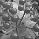 ���� �����, ����������� - ��������� 12 ��� 2012