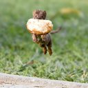 ���� ����� - ���������� ��������!!!, �����������, 56 ��� - ��������� 4 ������� 2009 � ������ ����������� :-)�