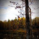 ���� ��������, ������ �����, 55 ��� - ��������� 21 �������� 2012 � ������ �������