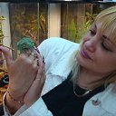 ���� A����, ������ - ��������� 5 ���� 2009 � ������ ���� ����������