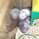 ���� ������ :3, ������, 23 ���� - ��������� 30 ������� 2010 � ������ ���� ����������