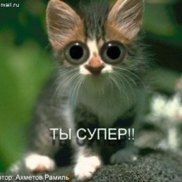 ���� ����, ������ - ��������� 17 ������� 2012