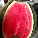 ���� �����, ������ - ��������� 5 ������� 2012 � ������ ����� ��������