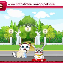 ���� 987, �����������, 43 ���� - ��������� 14 �������� 2010