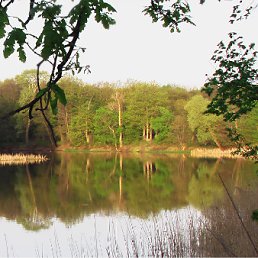 ���� �����, ������������, 48 ��� - ��������� 13 ��� 2011