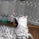 ���� ����� (=^.^=)_____?, �������� - ��������� 25 ���� 2013 � ������ ���� ����������