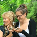 ���� �����, ��������� - ��������� 1 �������� 2012 � ������ ���� ����������