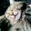 ���� ������, ������� - ��������� 26 ������� 2010 � ������ ���� ���