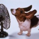 ���� ����, ������ ��������, 41 ��� - ��������� 12 ������� 2009 � ������ ������ ����