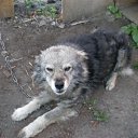 ���� �������, ��������, 38 ��� - ��������� 25 ������� 2011 � ������ ���� ����������