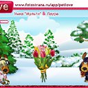 ���� ������, ������ - ��������� 10 ������� 2010 � ������ �PetLove�