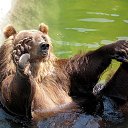 ���� �����, ������, 39 ��� - ��������� 23 ������� 2010 � ������ ���� ����������