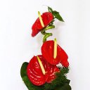 ���� ������, ������, 59 ��� - ��������� 5 ���� 2013 � ������ �����ۻ