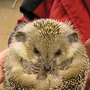 ���� ����, ����������, 50 ��� - ��������� 26 ������� 2010 � ������ ��������������