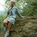  , , 41  -  15  2010   ~      ~