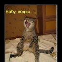 ���� ����, ������, 48 ��� - ��������� 8 ���� 2011 � ������ ����