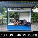 ���� Probleme, ������, 38 ��� - ��������� 13 ����� 2013 � ������ ����� ���