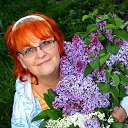 ���� ��������, ��������, 66 ��� - ��������� 7 ��� 2013 � ������ ���� ����������