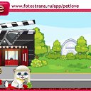  , - -  19  2010   PetLove