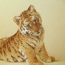 ���� ������, �����-���������, 40 ��� - ��������� 8 ������� 2010