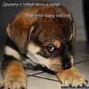 ���� ������, ����������, 40 ��� - ��������� 25 ����� 2010 � ������ �����������