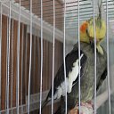 ���� ��������, �����-���������, 37 ��� - ��������� 9 ������� 2012 � ������ ������������