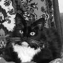 ���� ������, �����, 64 ���� - ��������� 3 ��� 2012 � ������ ���� ����������