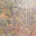 ���� �������, ������, 39 ��� - ��������� 5 ������ 2012 � ������ ������� �������