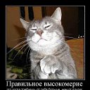 ���� Rita, �������, 58 ��� - ��������� 29 ���� 2013 � ������ ���� ����������