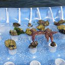 ���� �������, ����������, 50 ��� - ��������� 21 ������� 2010 � ������ ���� ����������