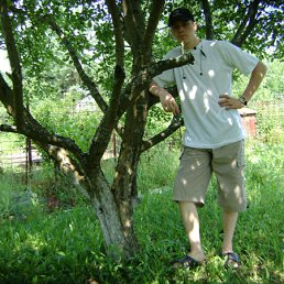 ���� �������, ������, 42 ���� - ��������� 23 ������ 2010