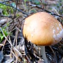 ���� �������, ������� - ��������� 10 ������ 2010 � ������ ����...������