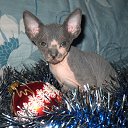 ���� ������, �����-���������, 47 ��� - ��������� 16 ������ 2011 � ������ ������� 2011�