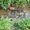 ���� ��������, ������, 46 ��� - ��������� 31 ������ 2011 � ������ ������������