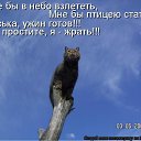 ���� �����, �����-���������, 26 ��� - ��������� 2 ������� 2011 � ������ ������