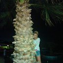 ���� �����, ��������� - ��������� 3 ������ 2013 � ������ ���� ����������