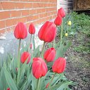 ���� �����, ��������, 58 ��� - ��������� 24 ��� 2012 � ������ ���� ����������