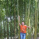 ���� ������, ��������, 55 ��� - ��������� 2 ������ 2010 � ������ ��Ѩ ��� ���߻