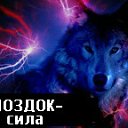 ���� �����, ������, 49 ��� - ��������� 19 ��� 2012