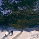 ���� ���������, ������, 26 ��� - ��������� 14 ������ 2011 � ������ �RoadKing�