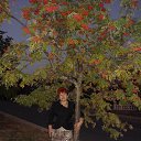 ������ �. ������������ �� ������� �������